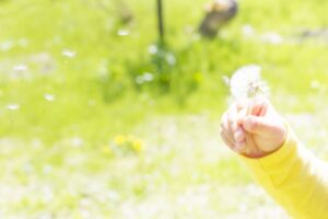 チャイルドセラピスト講座プロフェッショナルコース