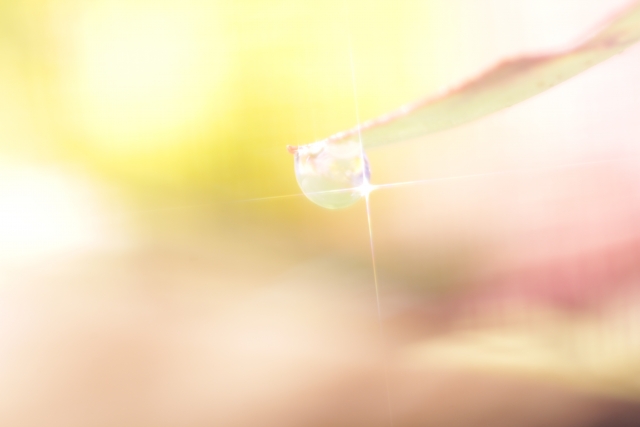 河間恵　個人セッション